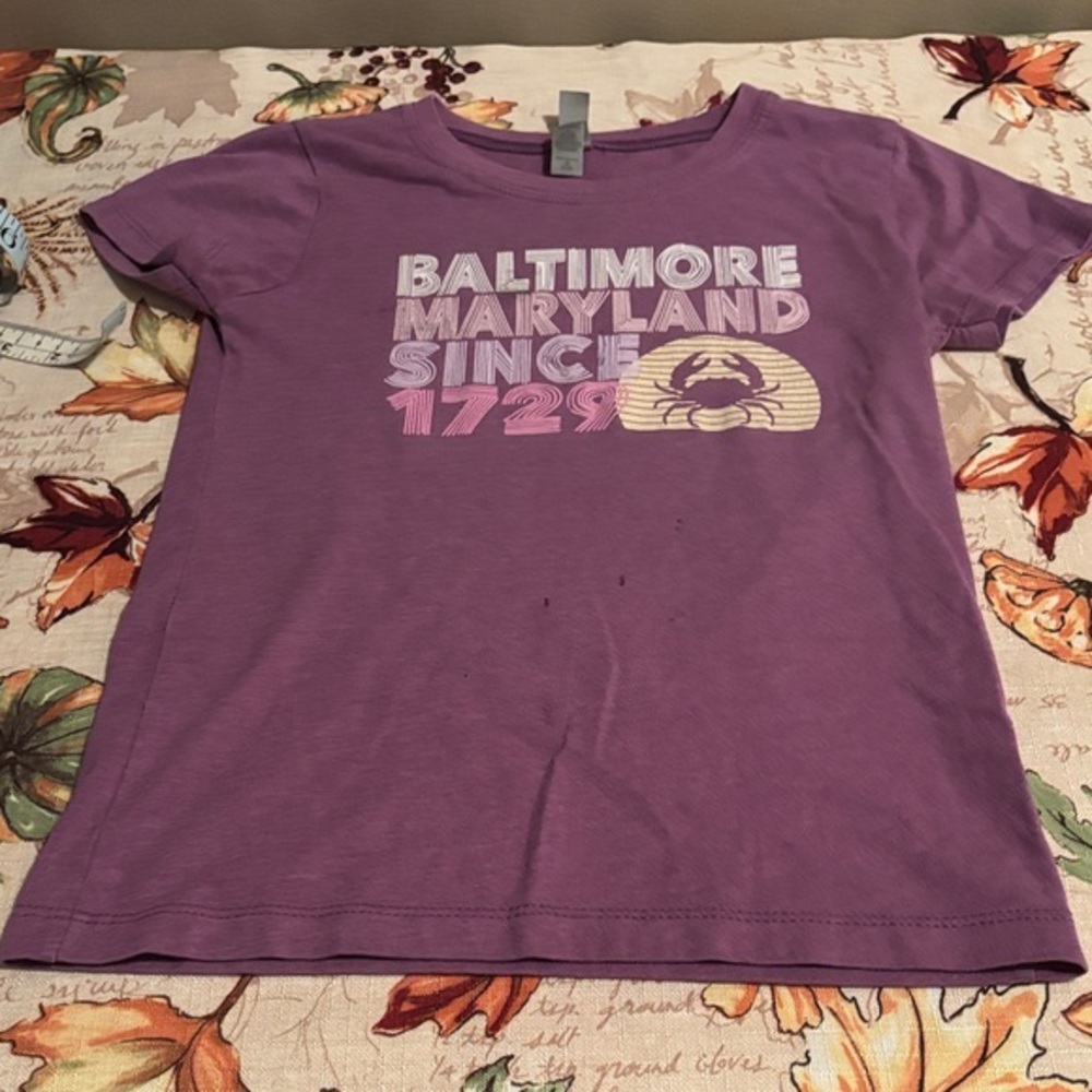 Next Level Apparel Purple Graphic Tee